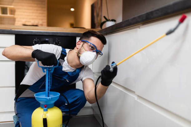 Best Affordable Pest Control Services  in Lexington, MO