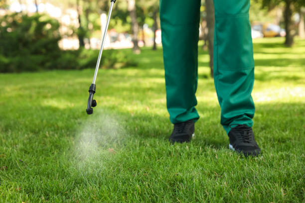 Best Pest Control Near Me  in Lexington, MO