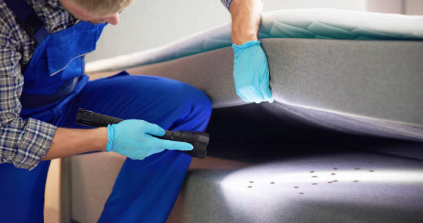 Best Pest Prevention Services  in Lexington, MO
