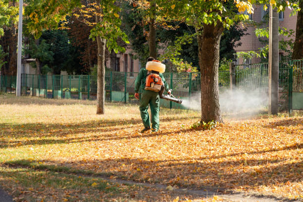 Best Best Pest Control Companies  in Lexington, MO