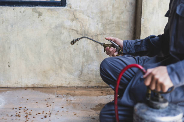 Best Residential Pest Control  in Lexington, MO